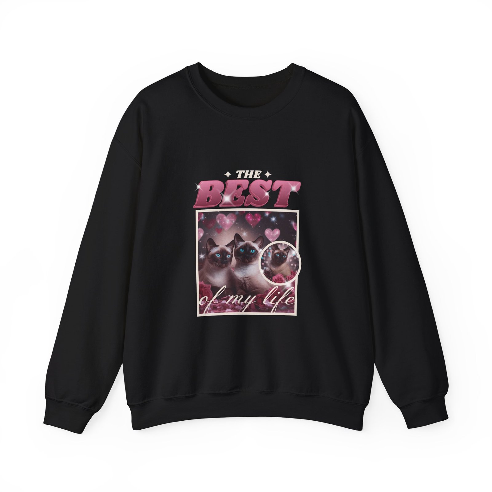 Best Cats Ever Cute Cat Illustration with Playful Typography - Sweatshirt
